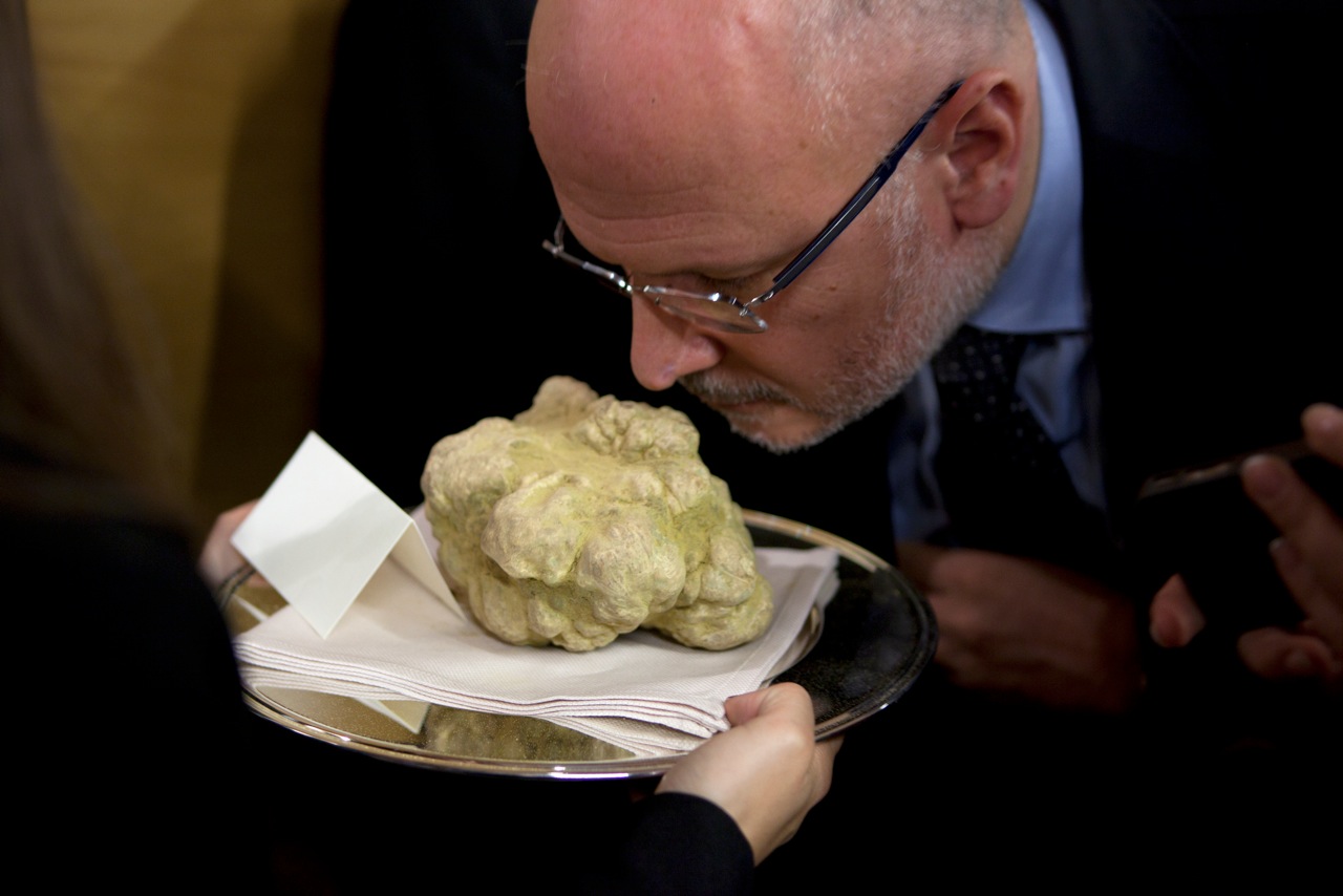 White Truffle Luxury Ingredients in the Culinary World