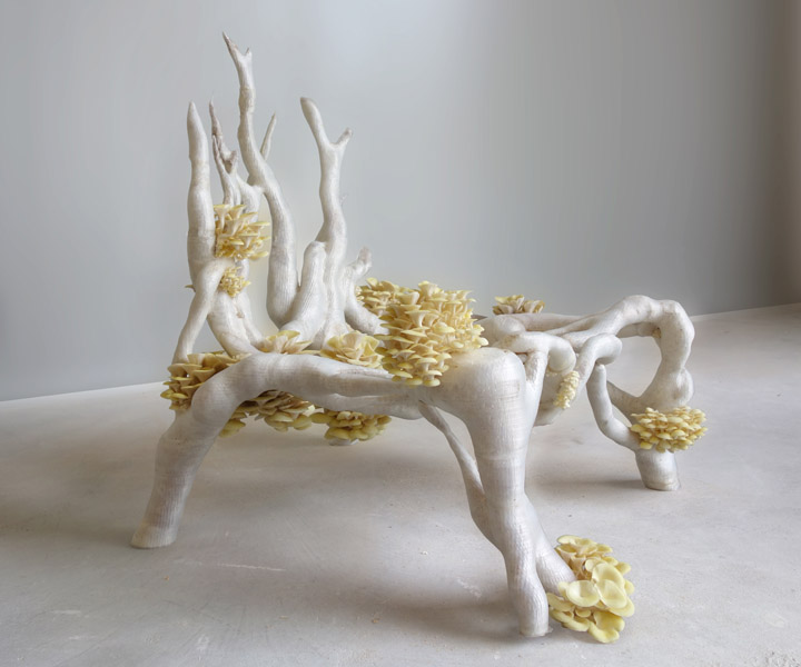 An icon of biodesign for the design world. Erik Klarenbeek's Myceliumchair, built from 3D printed living mycelium.