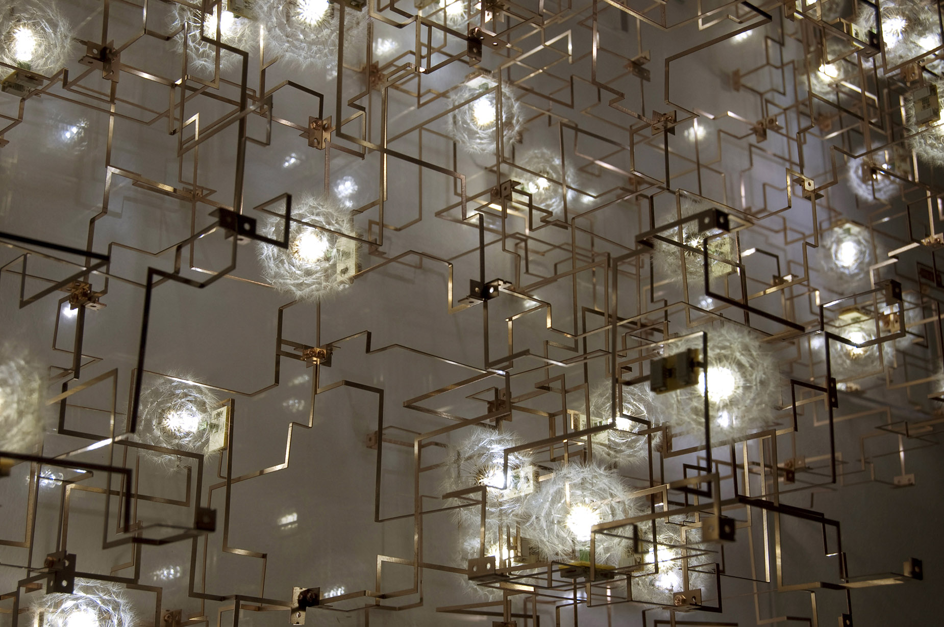 Detail view of Fragile Feature, showcasing the size and number of the individual seeds of the dandelion attached to LED lights.