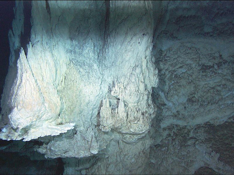 The Lost City hydrothermal field in the mid Atlantic.