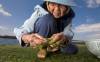 Squatting effortlessly on a slippery embankment, 89-year-old Kame Ogido (above) inspects a pinch of seaweed, photography by DAVID MCLAIN, NATIONAL GEOGRAPHIC